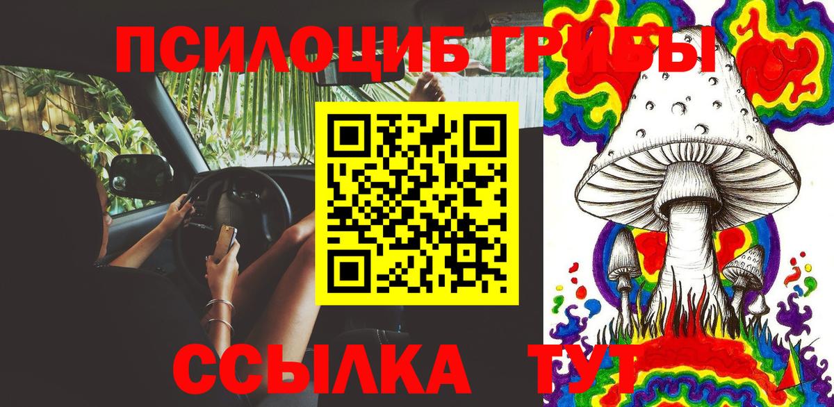 купить наркоту  Псилоцибиновые грибы мицелий  Сухой Лог  Вход с VPN  Псилоцибиновые грибы GOLDEN TEACHER 